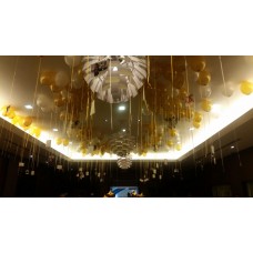 Balloon Let Go To Ceiling